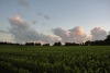 Dateiname=2009_07_12_-_01_Brennende_Wolken_am_Gericht_bearb.jpg
Dateigröße=94KB
Abmessungen: 800x536
hinzugefügt am: 13. Juli 2009 2009_07_12_-_01_Brennende_Wolken_am_Gericht_bearb.jpg