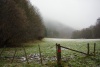 Dateiname=2008_12_16_-_20_Nebelimpressionen_in_der_Nordeifel_bearb.jpg
Dateigröße=141KB
Abmessungen: 800x536
hinzugefügt am: 16. Dezember 2008 2008_12_16_-_20_Nebelimpressionen_in_der_Nordeifel_bearb.jpg